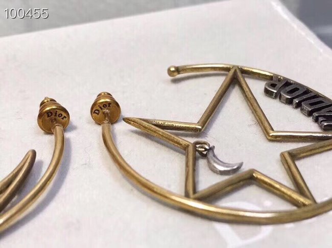 Dior Earring CSJ12212132