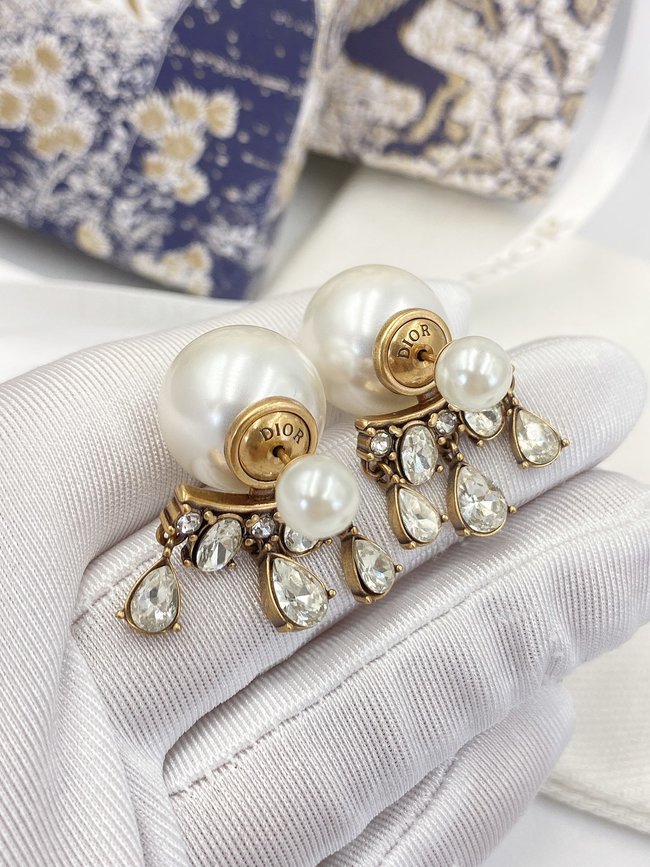 Dior Earring CSJ34514532