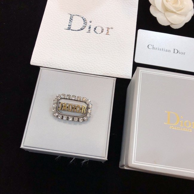 Dior Brooch CSJ55354543