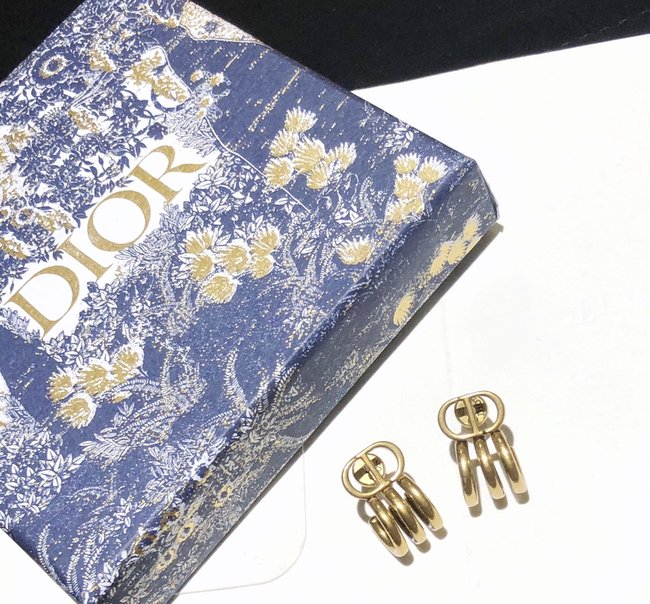 Dior Earring CSJ30001537