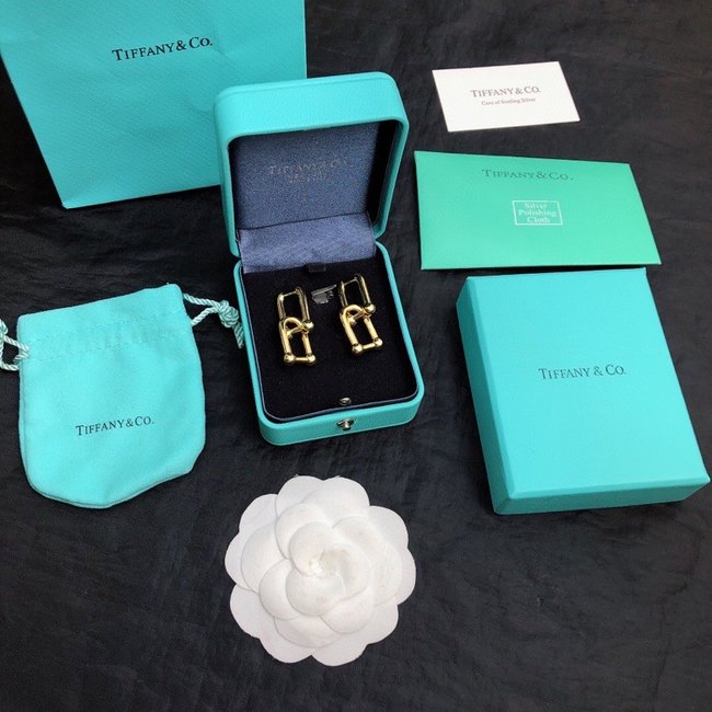 Tiffany Earring CSJ45355544