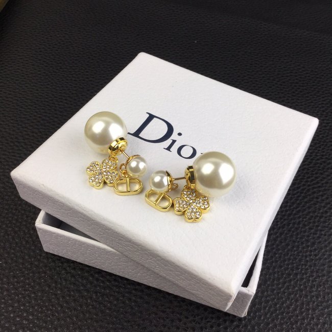 Dior Earring CSJ30536797