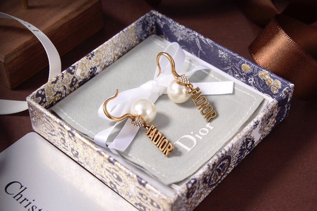 Dior Earring CSJ10605442