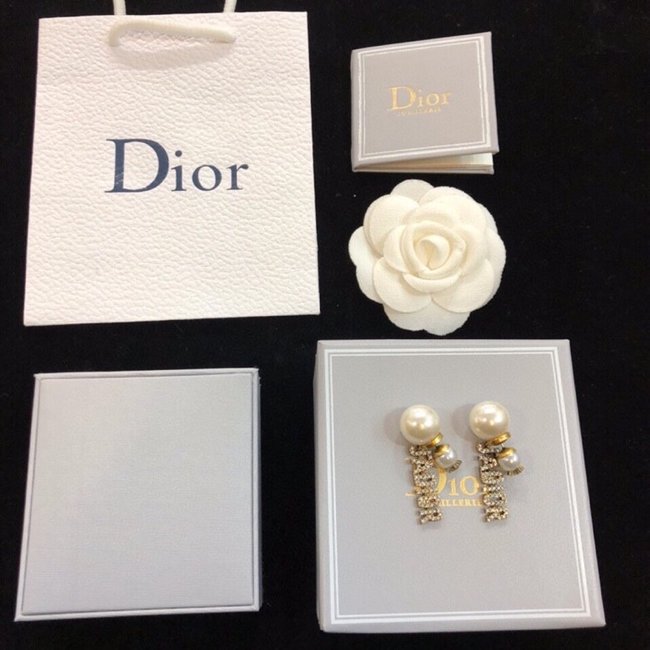 Dior Earring CSJ70002057