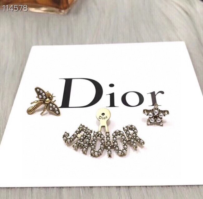 Dior Earring CSJ60001090