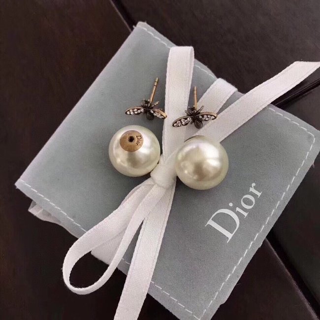 Dior Earring CSJ14223321
