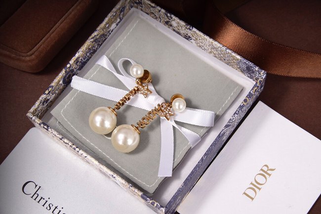 Dior Earring CSJ00001598