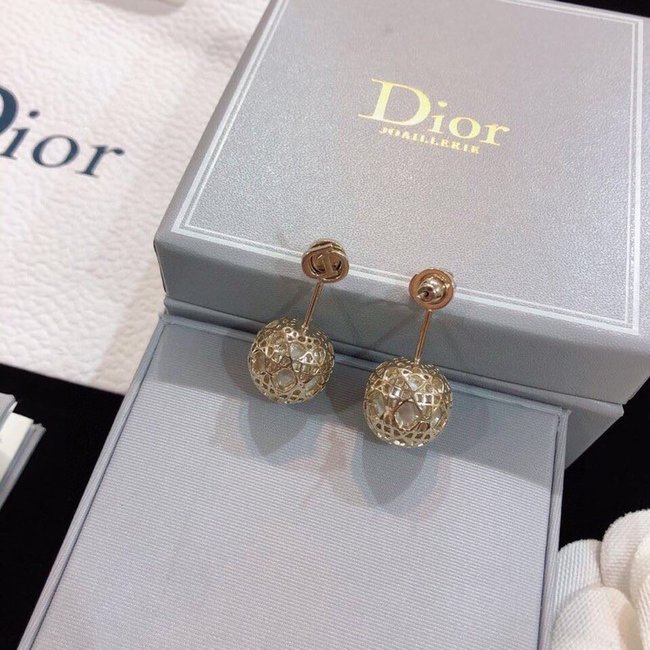 Dior Earring CSJ43452432