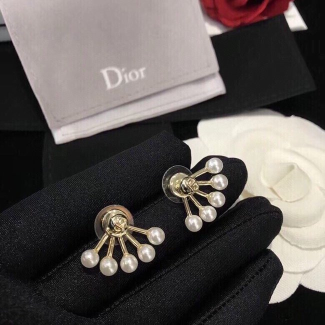 Dior Earring CSJ41313225