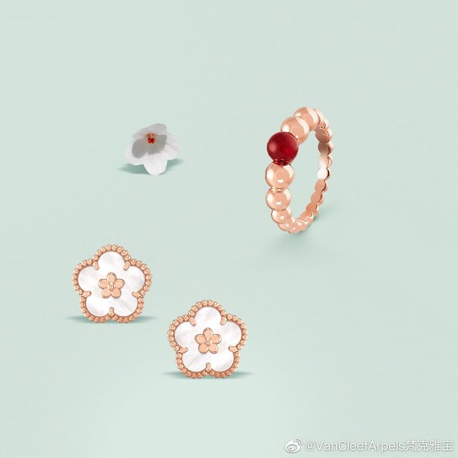 Van Cleef & Arpels Earring CSJ40001374