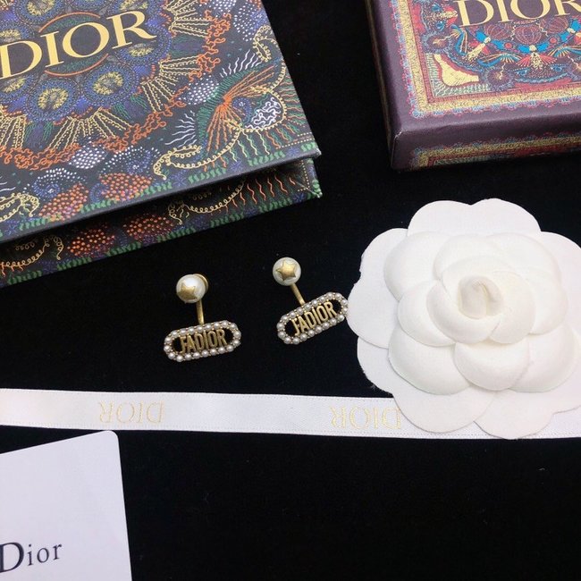 Dior Earring CSJ42552222