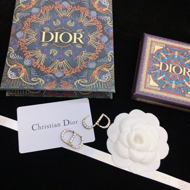 Dior Earring CSJ24331355