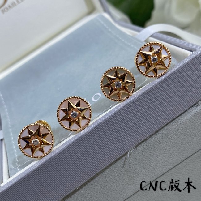 Dior Earring CSJ44254341