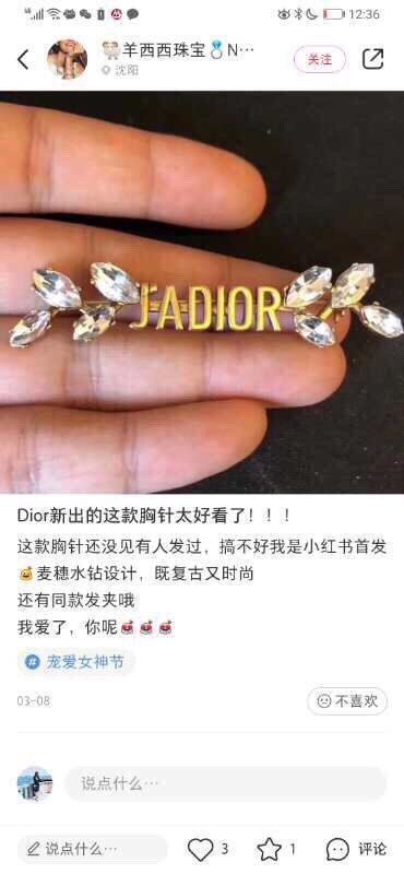 Dior Brooch CSJ30001025