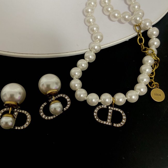 Dior Earring CSJ15152543