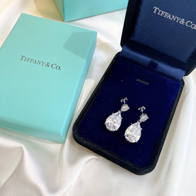 Tiffany Earring CSJ31544243