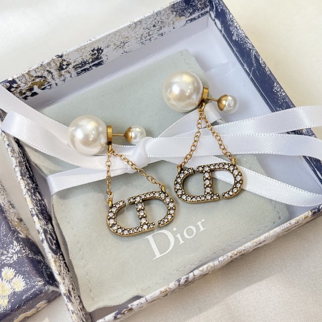 Dior Earring CSJ34335313