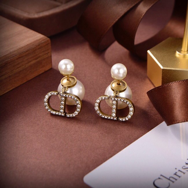 Dior Earring CSJ21454235