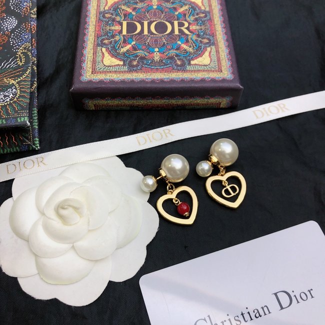 Dior Earring CSJ13224515