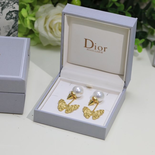 Dior Earring CSJ25354552