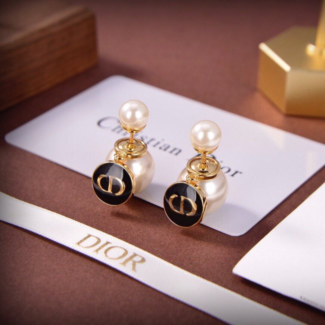 Dior Earring CSJ32554121