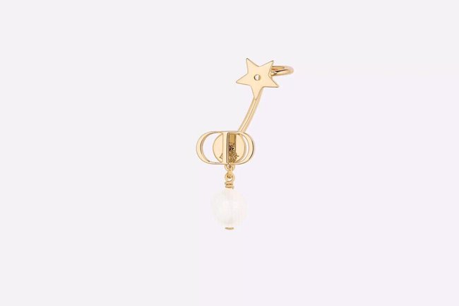 Dior Earring CSJ32323341