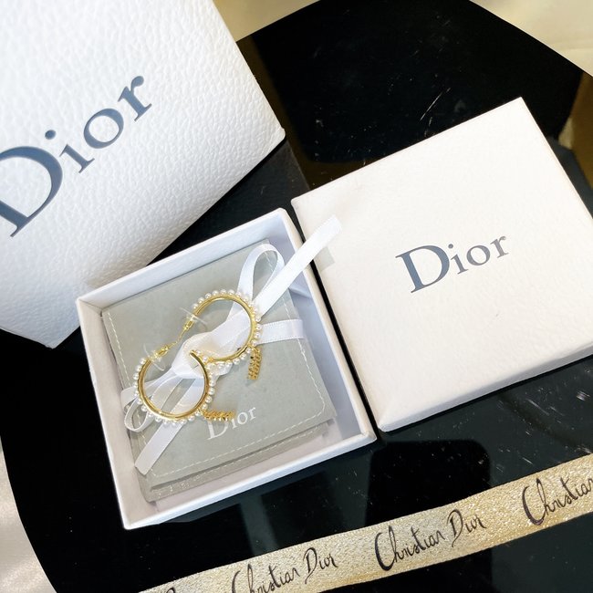 Dior Earring CSJ13141421