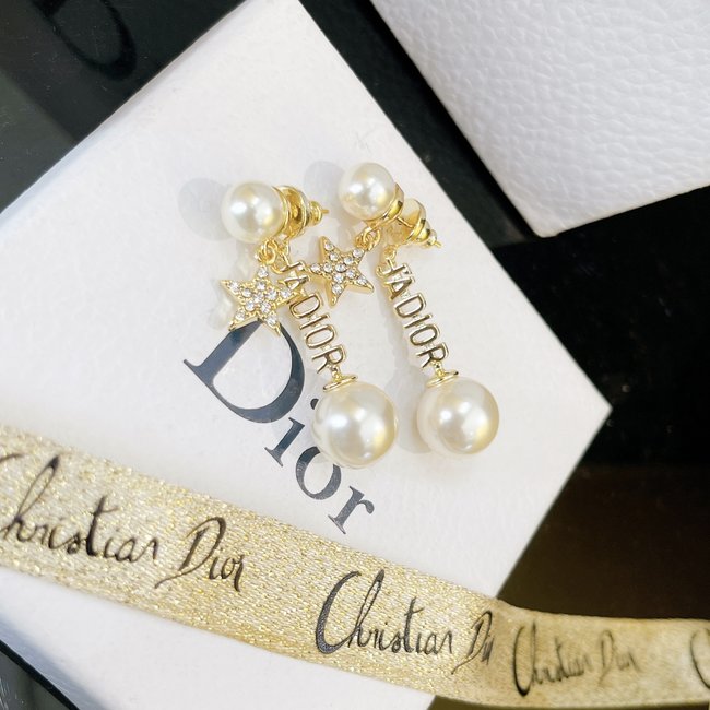 Dior Earring CSJ51421554